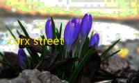 carx street中文版